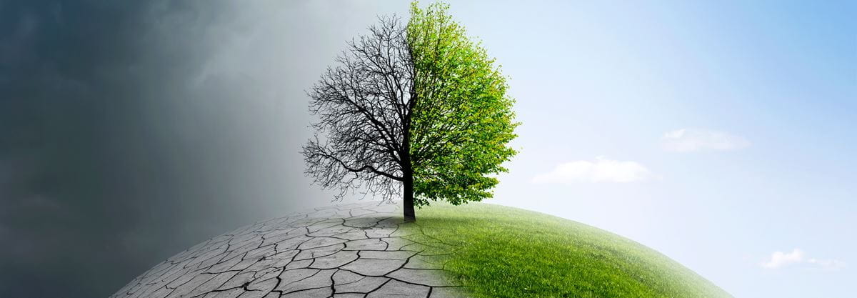 Migrol Blog: Klimawandel bekämpfen à la Dänemark | Migrol AG